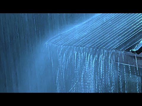 Relaxing Rain Sounds on Tin Roof for Sleeping | Deep Sleep, Thunder, and Heavy Rain for Relaxation
