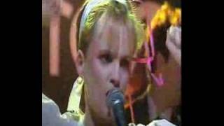 Altered Images - Insects