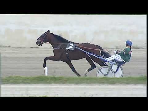 Napoli Trotto 10/04/2023 - 3ª corsa