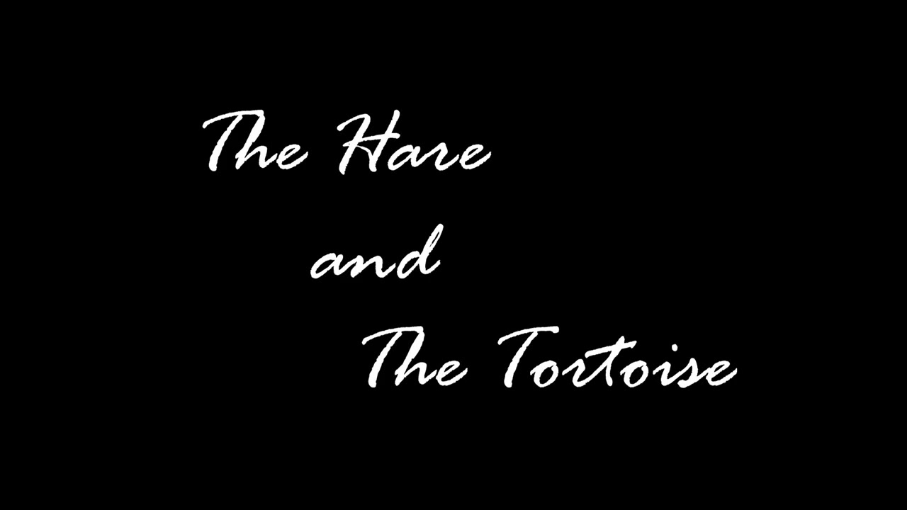 Paradox: Colours & Stories by Phanut Thaipakdee