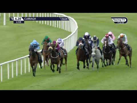 ARM Holding International Stakes Gr. 3 - Cadillac