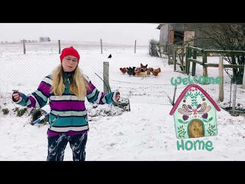 Nový domov pro slepičky