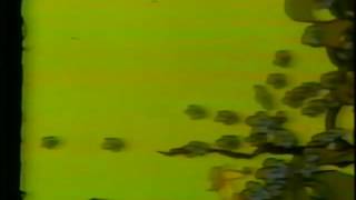 The Letter People TV 22 Meet Mister D