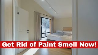 How to Get Rid of Paint Smell in a Room? - Super Easy Methods!