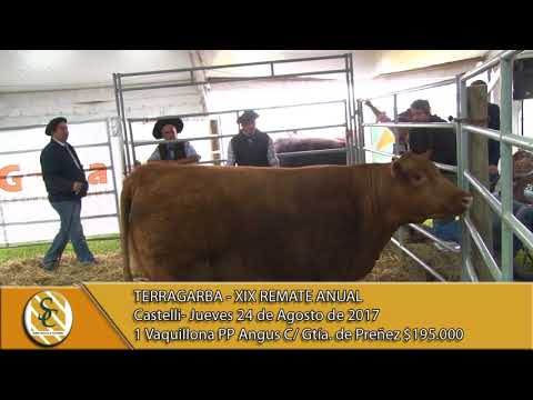24-08-17 Venta Vaquillonas  P. Hereford P.P y Angus P.P - Terragarba - Castelli