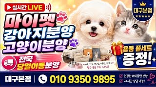 유튜브 썸네일