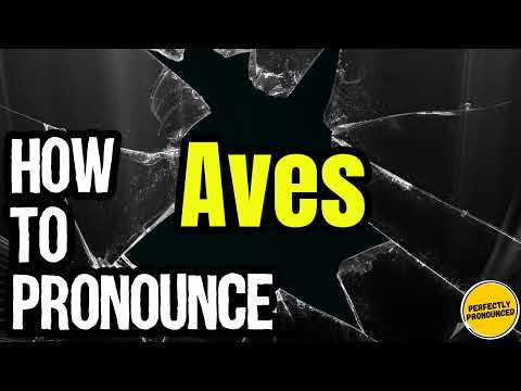 How To Pronounce Aves? (CORRECTLY) Meaning & Pronunciation