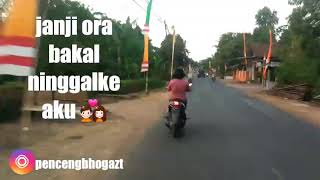 Download lagu Ora masalah versi video lirik stori wa terbaru.. mp3