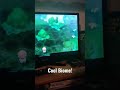 Swampy Cave The Grand Underground Pokémon Brilliant Diamond