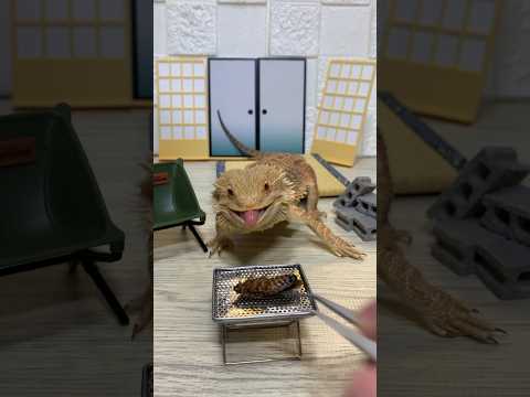 園芸 庭のゴキブリ