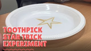 Toothpick Star Trick - Fun Science Experiment | Bright Minds