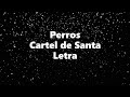 Perros - Cartel de Santa - Letra 🎶, *perros letra
