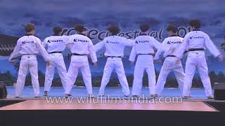 Download lagu Taekwondo performance by K-Tigers from Korea mp3 Download lagu Taekwondo performance by K-Tigers from Korea mp3