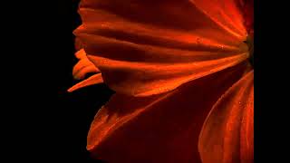 Emergence (2025) Max Devereaux Short Film