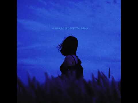 Hypx - Wish I Could See You Again (feat. LEVI) (Audio)