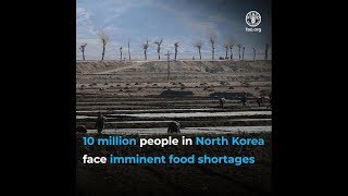 10 million people in North Korea face imminent food shortages