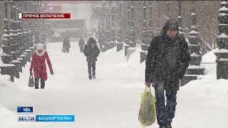 В Башкирии из-за сильного ветра и метели объявили штормовое предупреждение
