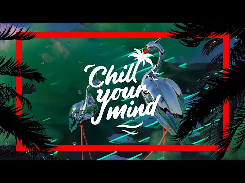 Panuma - Birdcall (feat. Nina Carr) [ChillYourMind Release]