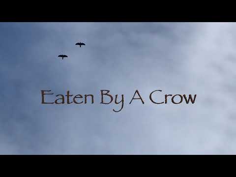 Eaten by a Crow