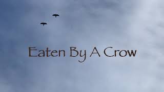 Eaten by a Crow by Dan Jenkins