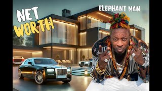 "Inside Elephant Man’s 2025 Lifestyle: Net Worth, Dancehall Career, House &amp; 40 Kids Revealed!"