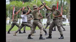 DINAS SATUAN POLISI PAMONG PRAJA KAB. MIMIKA
