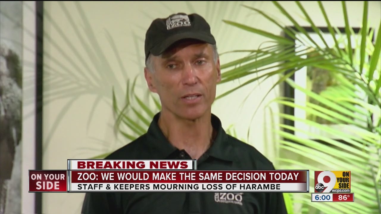 Cincinnati Zoo director defends handlers' decision to rescue child by killing gorilla