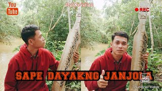 Download lagu Sape dayakng janjola(dedy_kristian) mp3