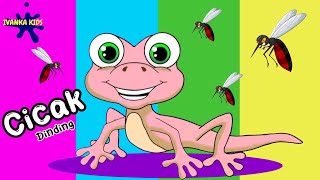 Download lagu Cicak Cicak Di Dinding - Lagu Anak Anak - Lagu Anak Anak Indonesia mp3