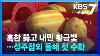 Download lagu 혹한 뚫고 내민 황금빛…성주참외 올해 첫 수확 / KBS 2026.01.06. mp3 Download lagu 혹한 뚫고 내민 황금빛…성주참외 올해 첫 수확 / KBS 2026.01.06. mp3