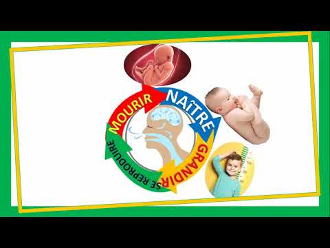 LES ETRES VIVANTS ET NON VIVANTS