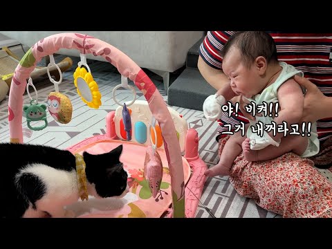 드디어 터질게 터졌다ㅋㅋ 서열정리 들어간 신생아ㅋㅋ