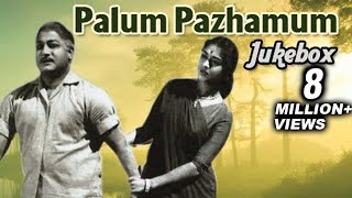 Palum Pazhamum Tamil Movie Songs Jukebox - Sivaji 
