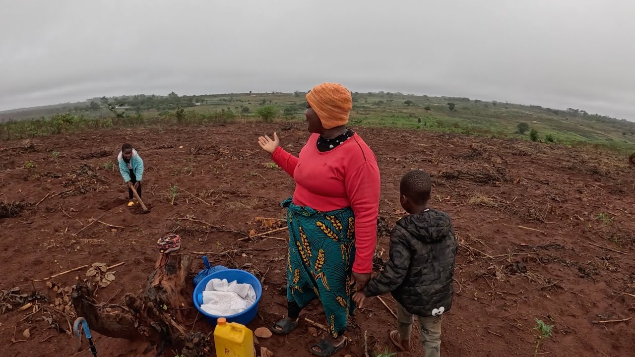 A benção Chegou - Semeando milho e outras sementes na minha roça