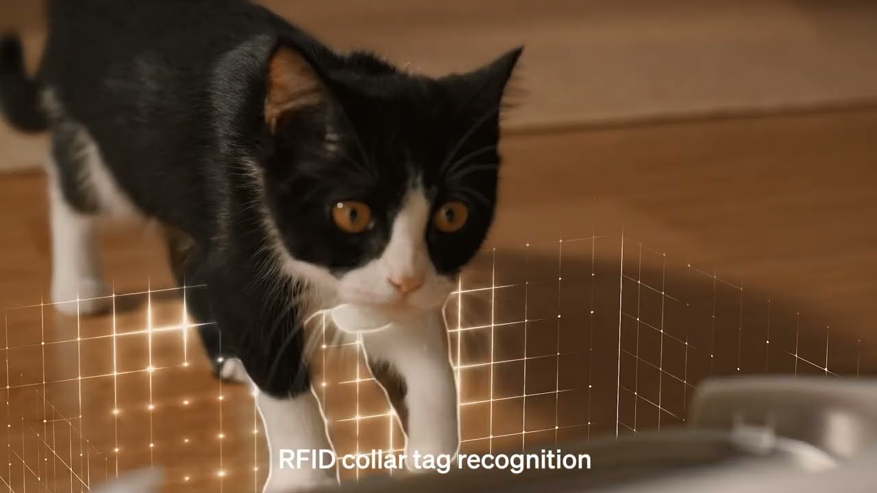 Petlibro Wasserautomat Dockstream RFID Smart Fountain 3 l