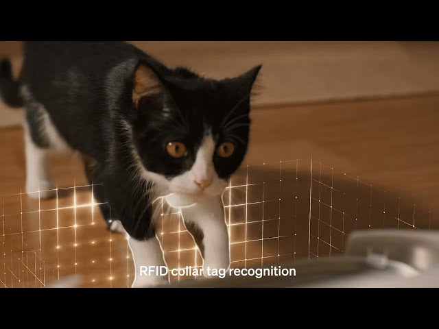 Video teaser voor Introducing Petlibro Dockstream RFID Smart Fountain