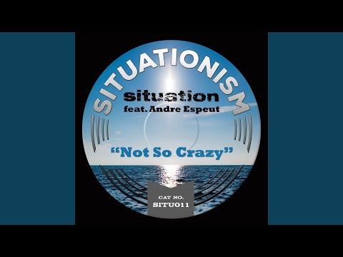Not so Crazy (feat. Andre Espeut) (Audio Luxury Remix)