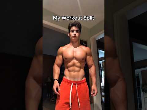 The best workout split 🤝 #workoutsplit #workoutroutine