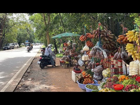 Cambodia Best Street Food Compilation -  Countryside Vs City Food Vlog @ Siem Reap