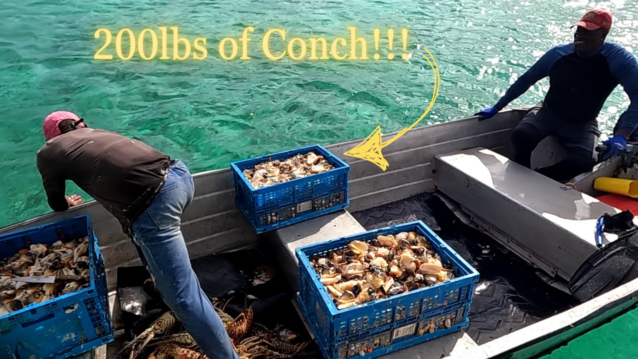 How Locals Clean Queen Conch...FAST! (Day 10/100 Day Water World Challenge)
