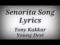 LYRICS Senorita Song - Tony Kakkar,Young Desi | Ak786 Presents