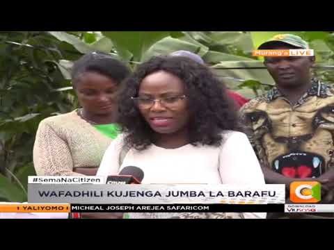Wakulima wa parachichi Murang'a wapata ufadhili kutoka Ujerumani