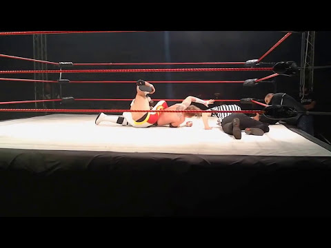 IWA Battaglia d'Inverno  Mr  Excellent vs Chris Steel