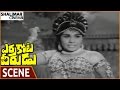 Errakota Veerudu Movie Rajanala Tells Lady To Kill Maharaja NTR Savitri Shalimarcinema