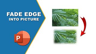 how to fade edge of a picture in PowerPoint