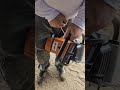 Do This When U Get Your ProMag 660 Chainsaw Day 1 Only Then Just One Three After Primed