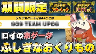 【ふしぎなおくりもの】アニポケから『ロイのホゲータ』の配布が開始！【ポケモンSV/スカーレットバイオレット】