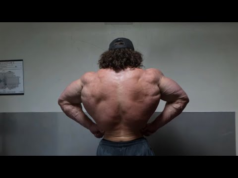Fall Cut Day 28 - Back 236.2 Lbs