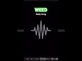 Daily Song #toddburgedailysong #weed  #seed #freedom #toddburge #toddburgemusic #toddburgeoriginal