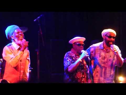 Mighty Diamonds I Need a Roof Live @ Tivoli de Helling. Babylon Shot Tabby! RIP Allmighty Diamond!